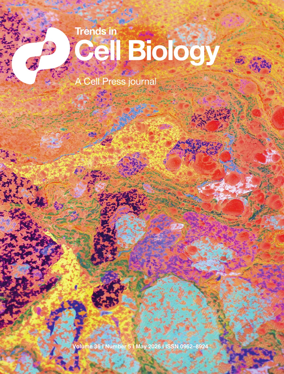 Our review featured on the Trends in Cell Biology cover